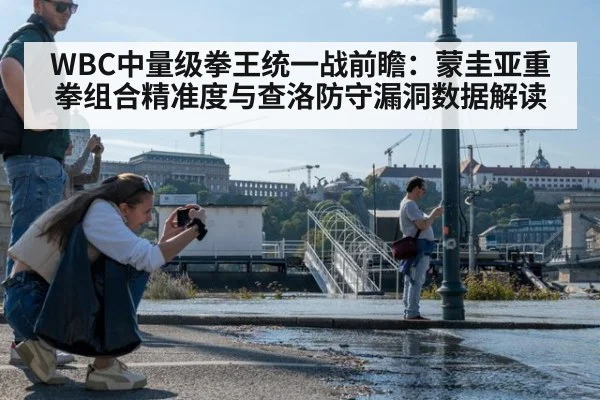 WBC中量级拳王统一战前瞻：蒙圭亚重拳组合精准度与查洛防守漏洞数据解读